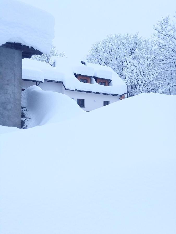 Greuth Hutte * Tarvisio