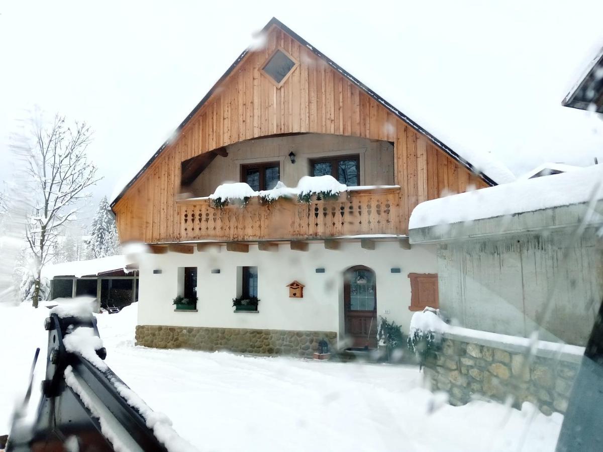 Greuth Hutte Holiday home Tarvisio